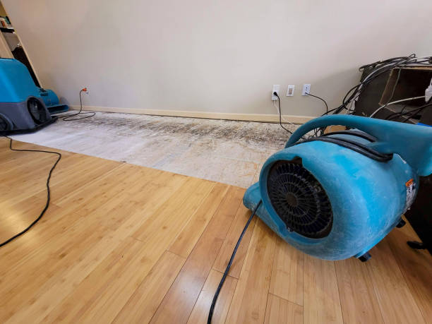 Reliable Basement Flood Cleanup contractor in Lincroft, NJ by Hirex Water Damage