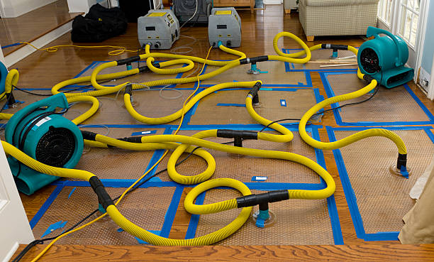 Professional Basement Flood Cleanup technician working in Lincroft, NJ